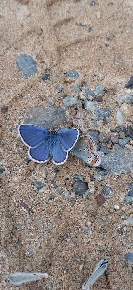 Photograph by Иващенко Юлия