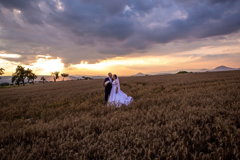 Wedding in the field