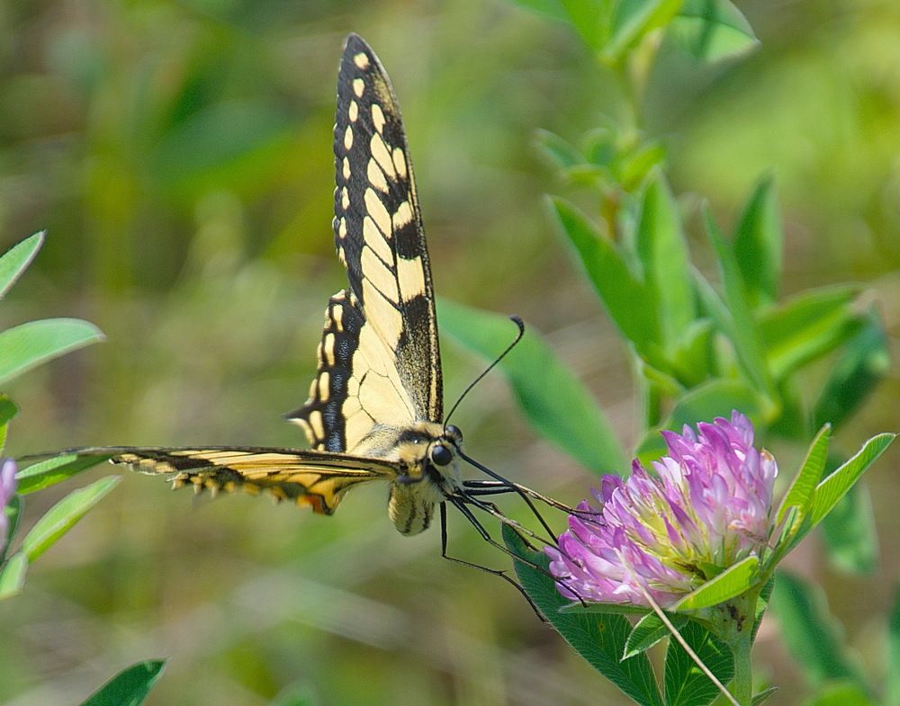 Photograph by Василий Быстрицкий
