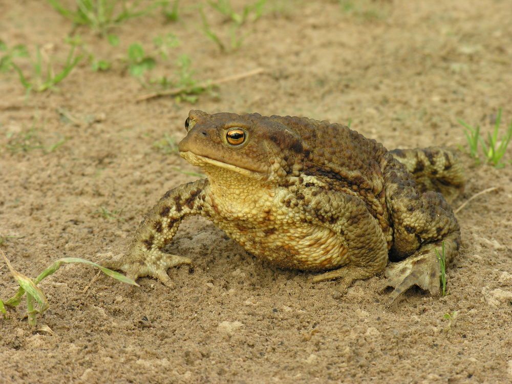 Photograph by Юрий Яковлев