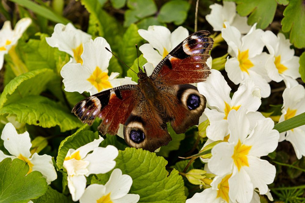 Фотография автора Оля Алехнович