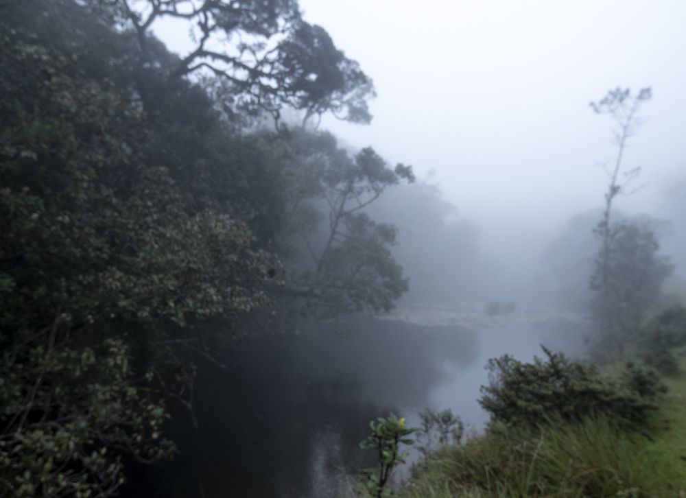 Photograph by SAMAN HALLOLUWA