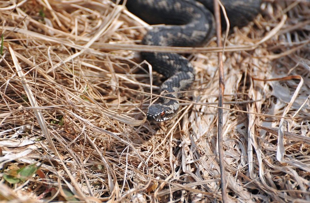 Photograph by Юрий Яковлев