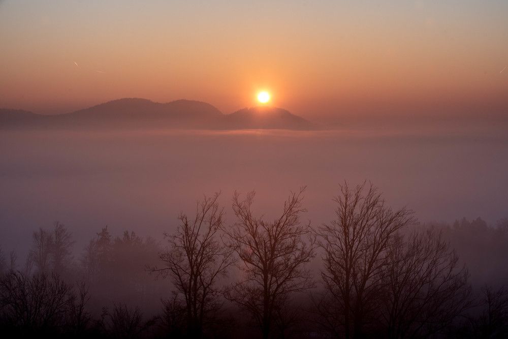 Photograph by Rajko Grimšič