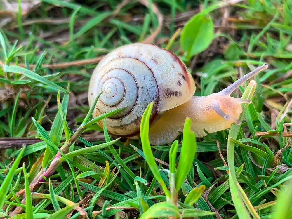 Photograph by Дмитрий Скрыльников
