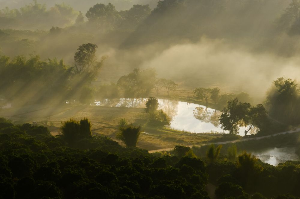 Photograph by Krid Karnsomdee