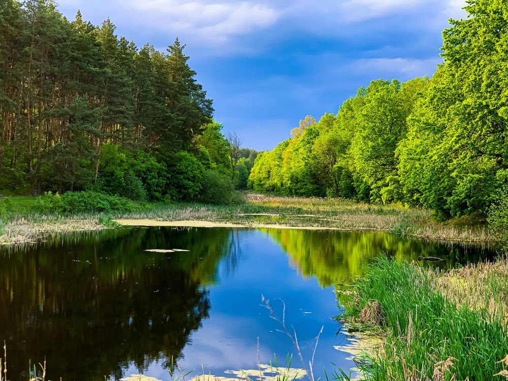 Photograph by Дмитрий Скрыльников