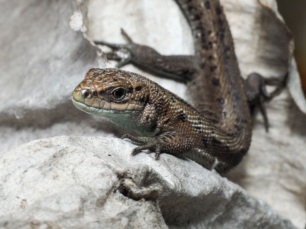 Photograph by Евгения Чепурная