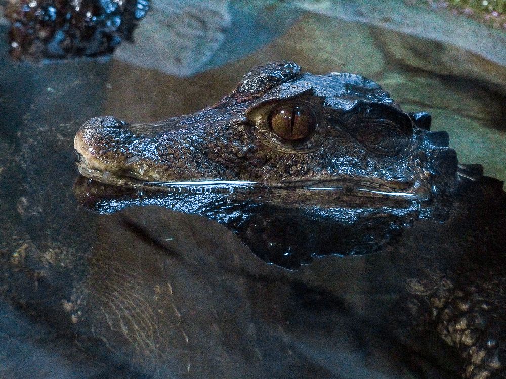 Photograph by Евгения Чепурная