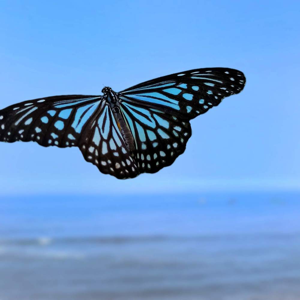 Photograph by Ciraj Abraham