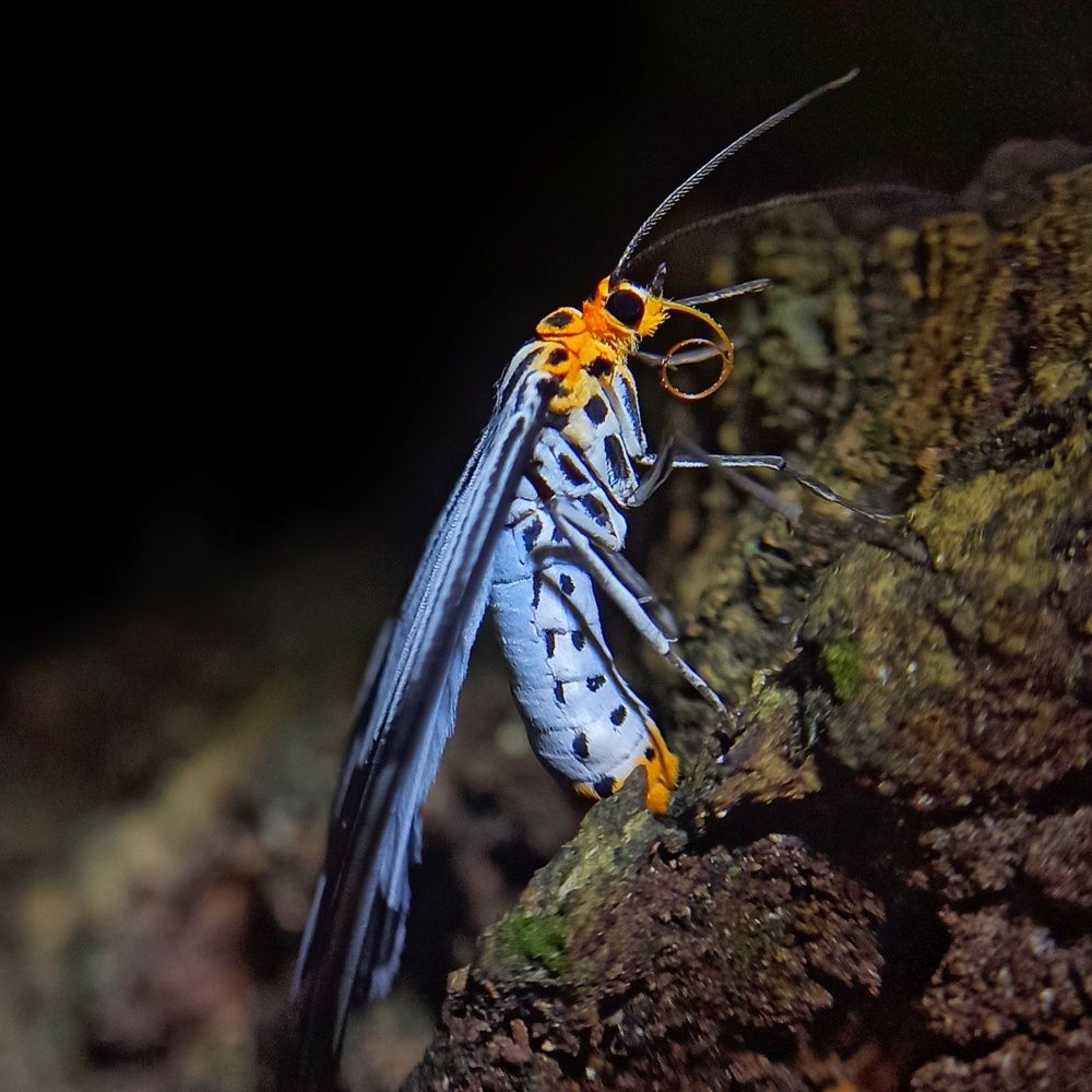 Photograph by Ciraj Abraham