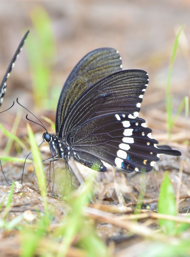 Photograph by Dinuka Sachintha