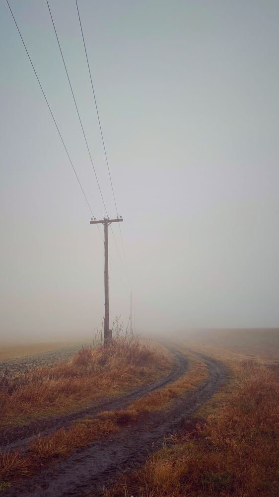 Photograph by Yulia Yuzhakova