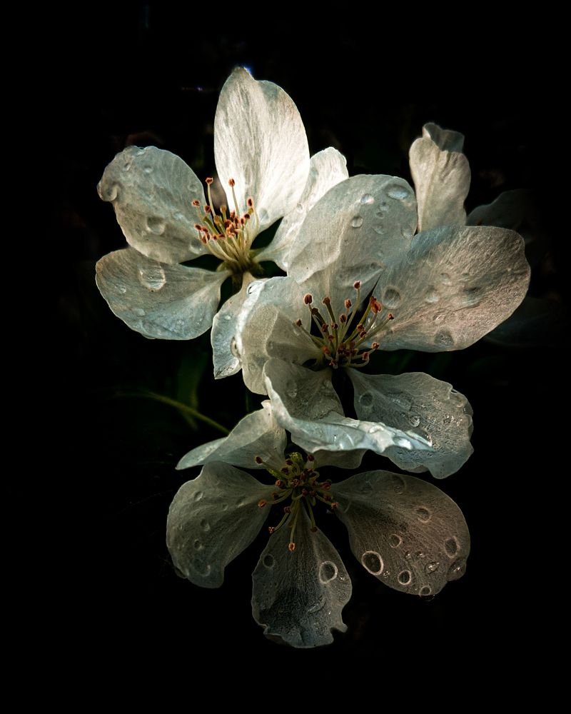 Photograph by Дарья Макаревич