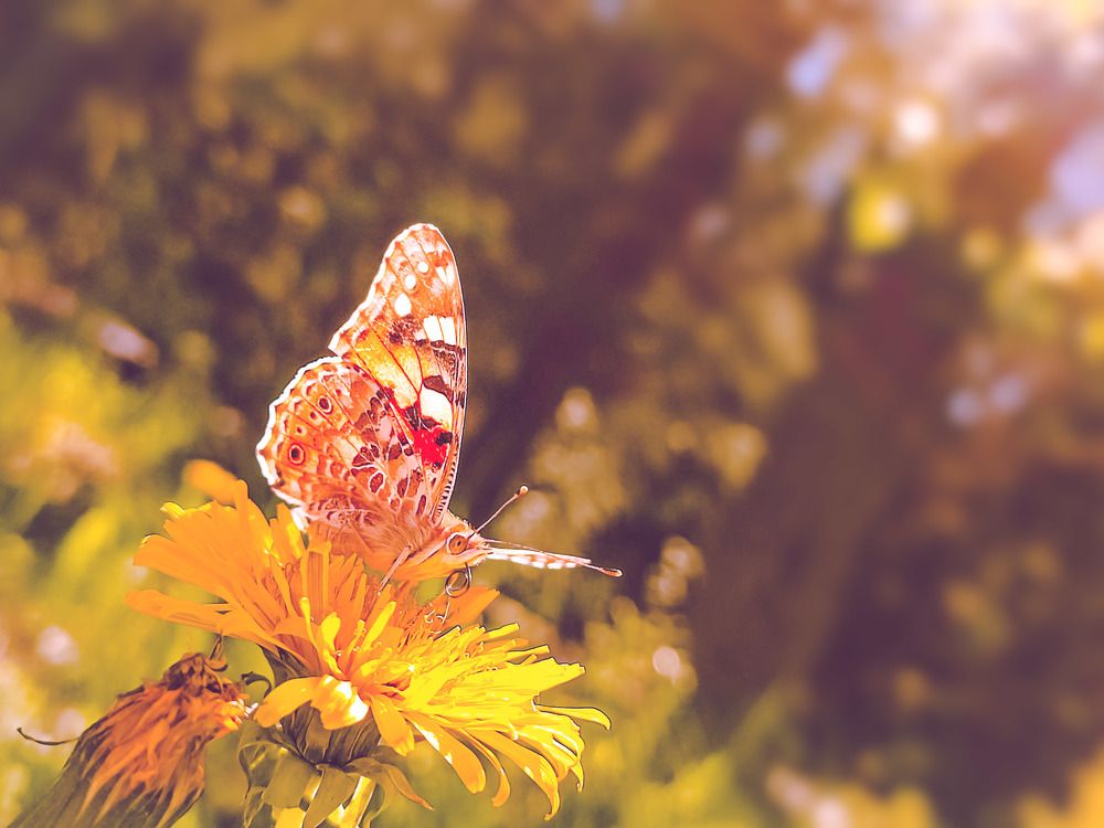 Photograph by Николай Яковлев