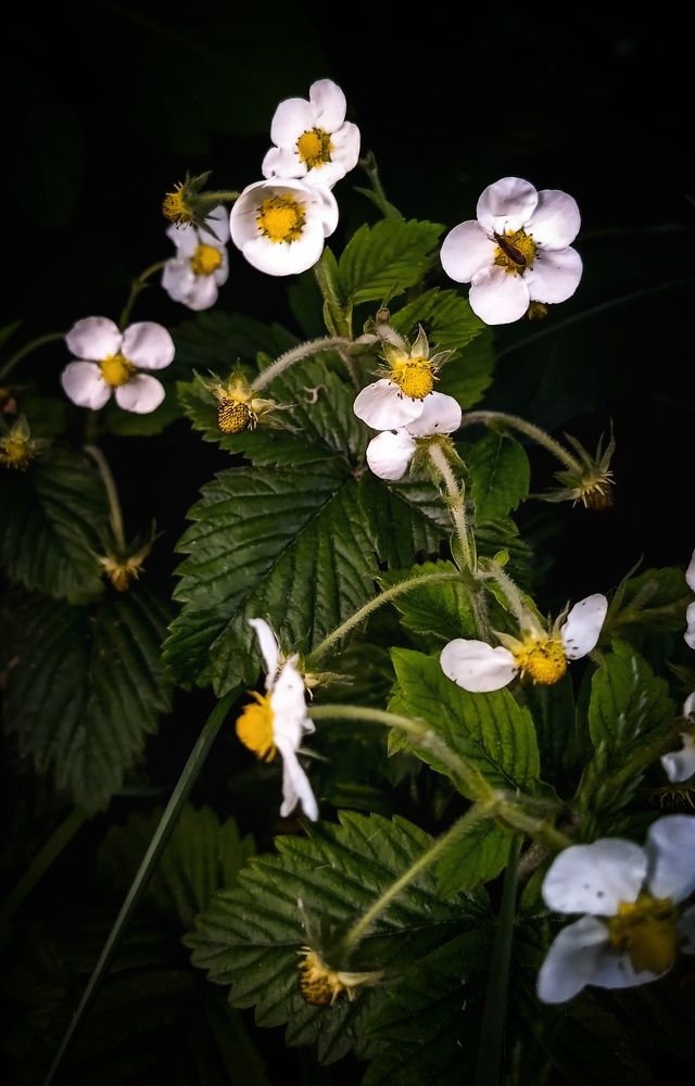 Photograph by Ekaterina Khuzhaeva