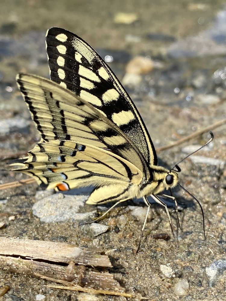 Фотография автора Александр Заикин