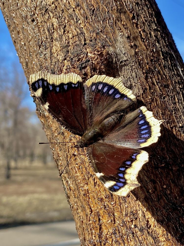 Фотография автора Александр Заикин