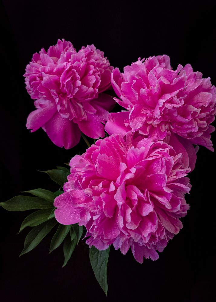 Photograph by Алексей Крукович