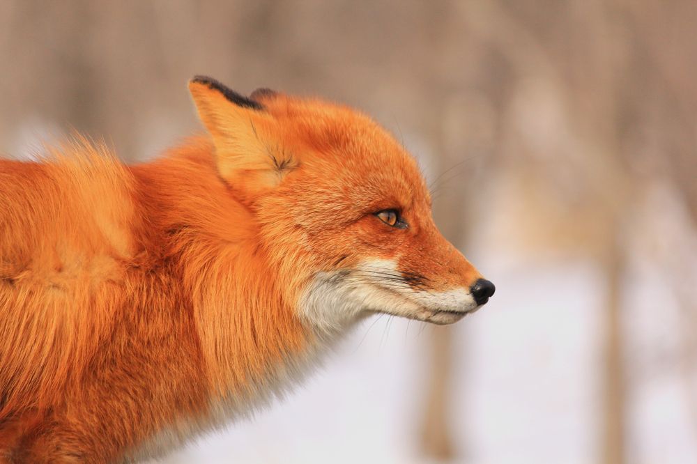 Photograph by Александр