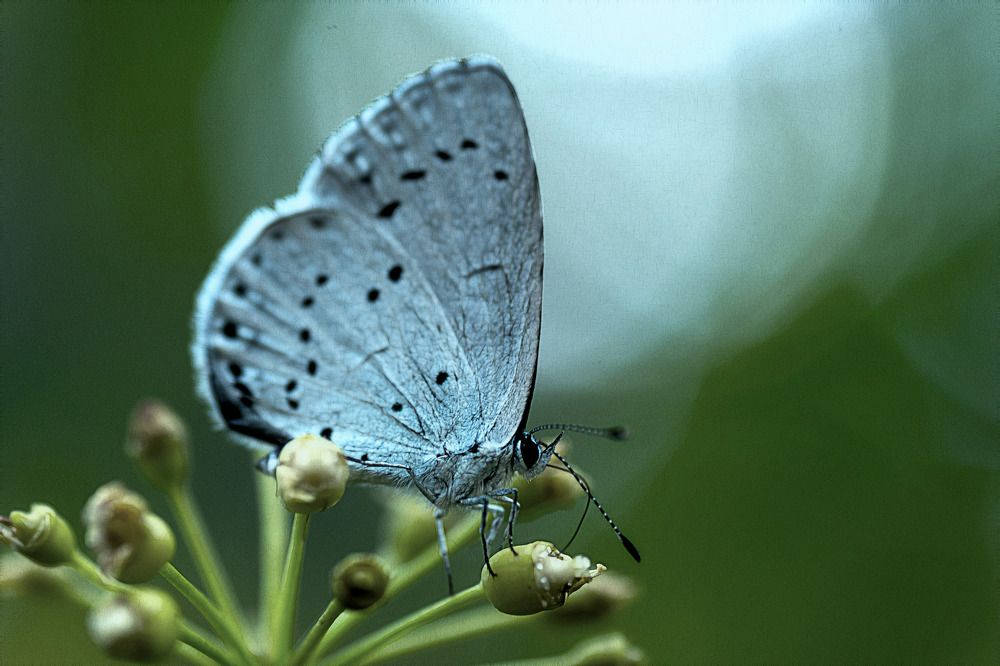 Photograph by Александр Стрельченко