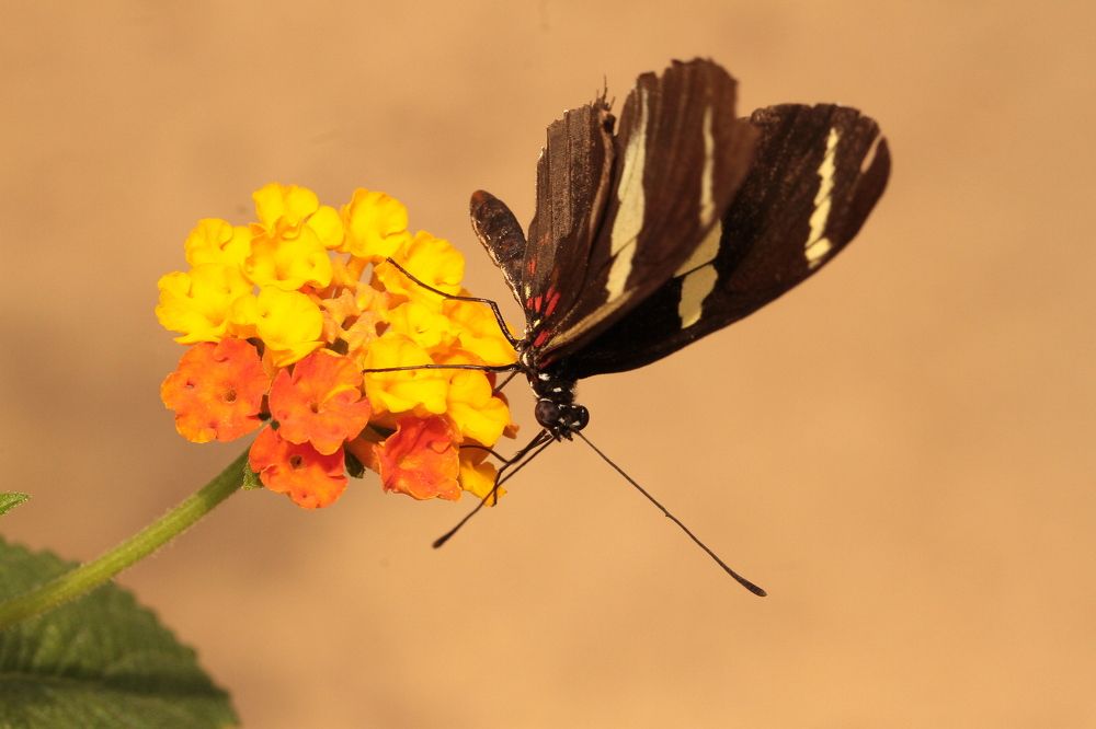 Photograph by Pawel Krzeszkiewicz