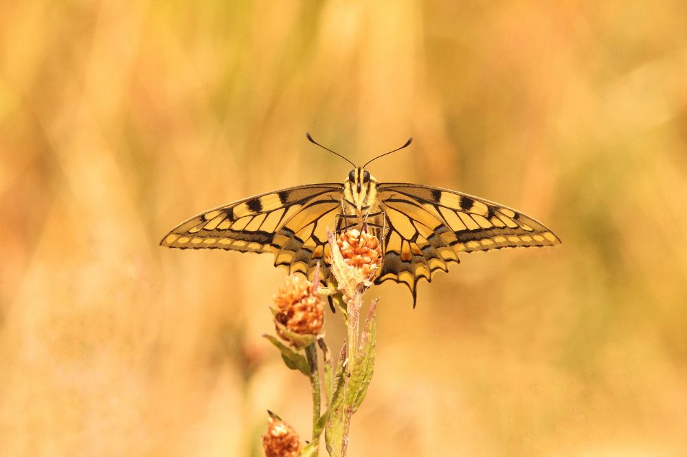 Photograph by Pawel Krzeszkiewicz