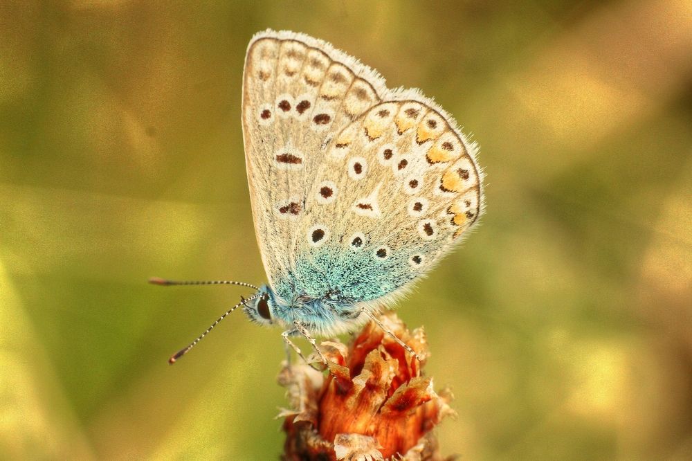 Photograph by Pawel Krzeszkiewicz