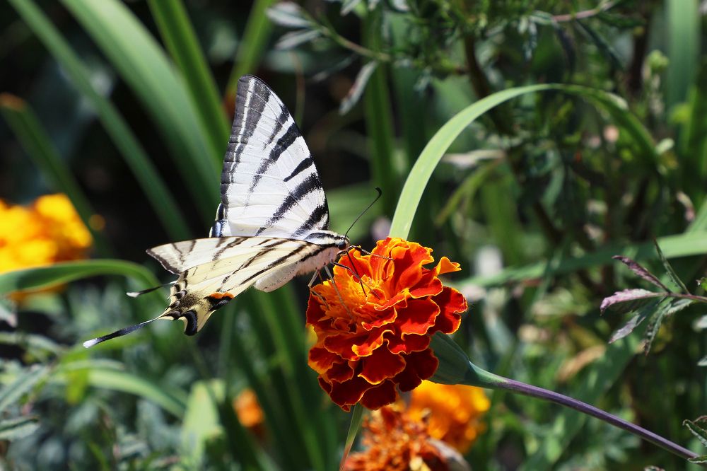 Photograph by Андрей Потапов