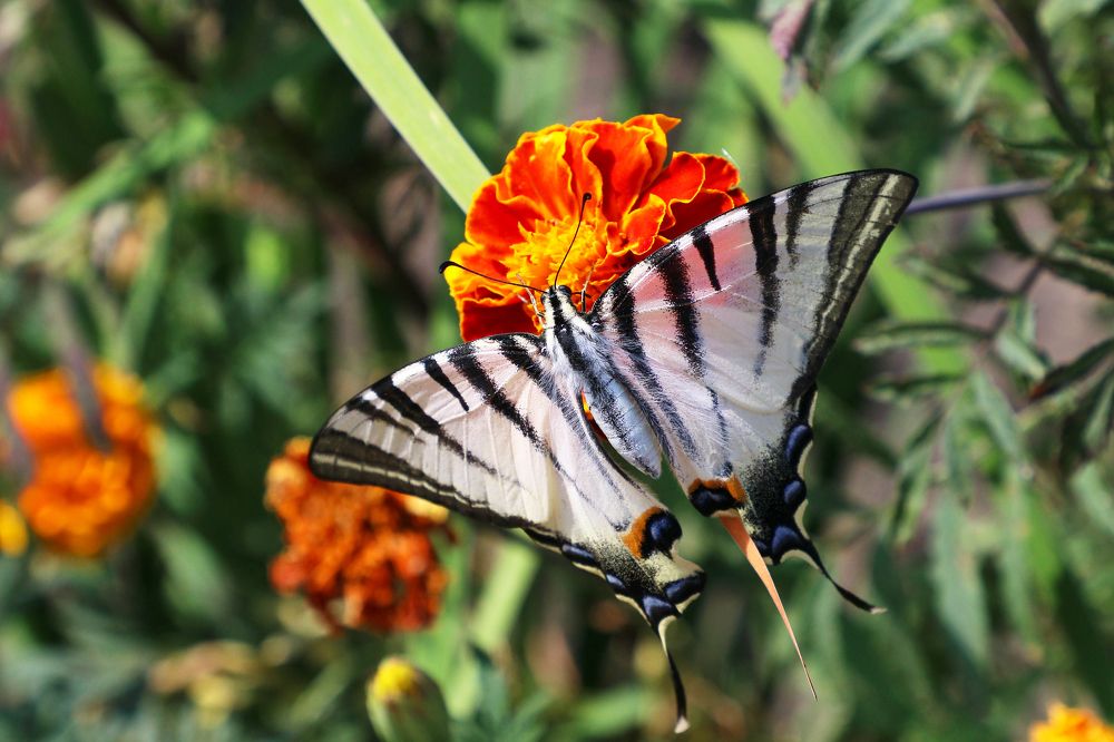 Photograph by Андрей Потапов