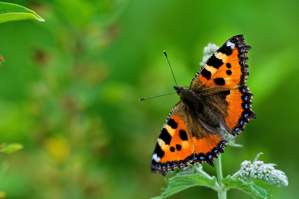 Photograph by Сергей Козлов