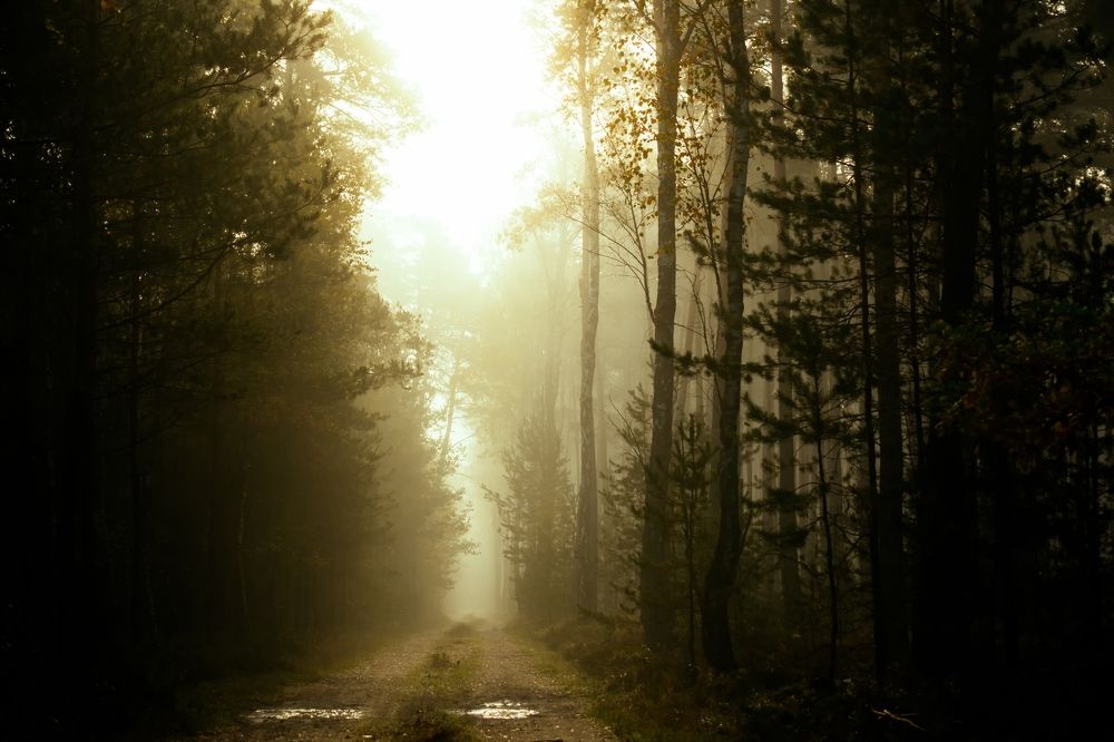 Photograph by Kamil Stępień