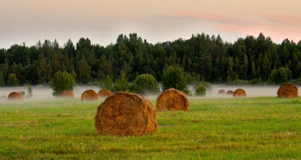 Photograph by дмитрий