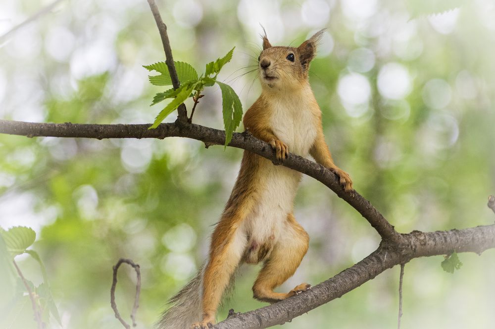 Photograph by Каргин Валерий