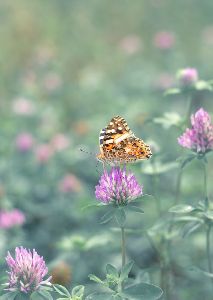 Photograph by Юлия Стадник