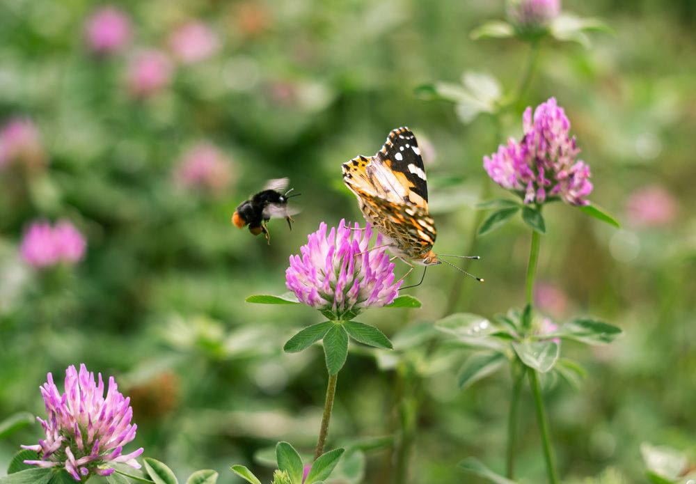 Photograph by Юлия Стадник