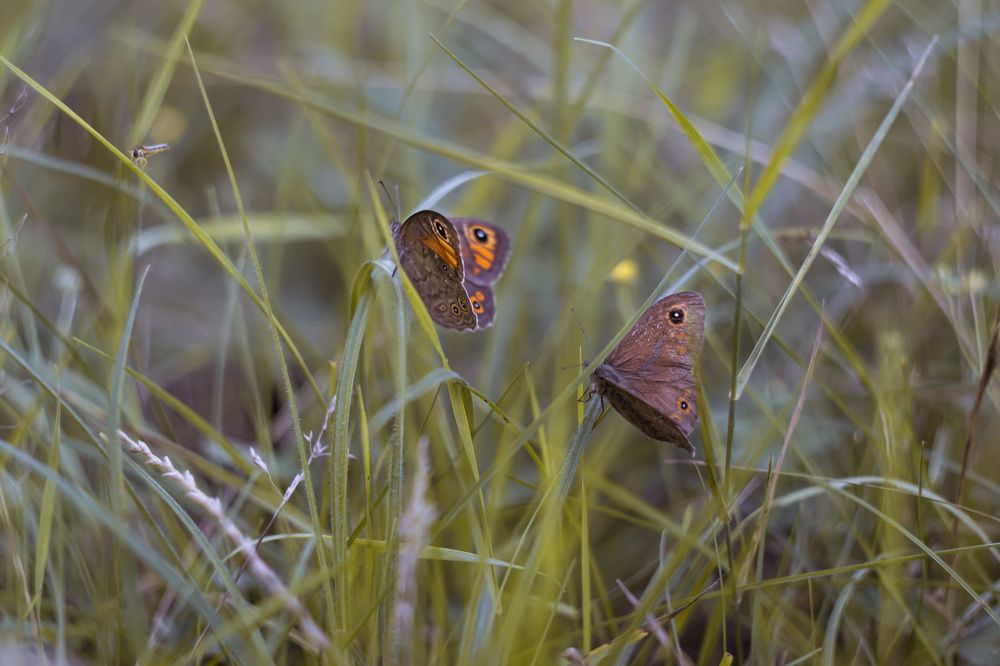 Photograph by Юлия Стадник