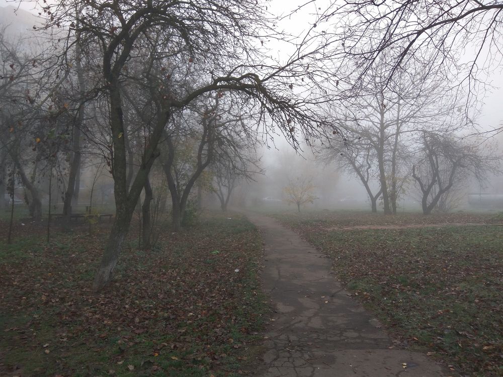 Фотография автора Кира Полотовская