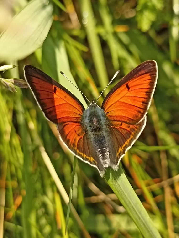 Photograph by Юлия