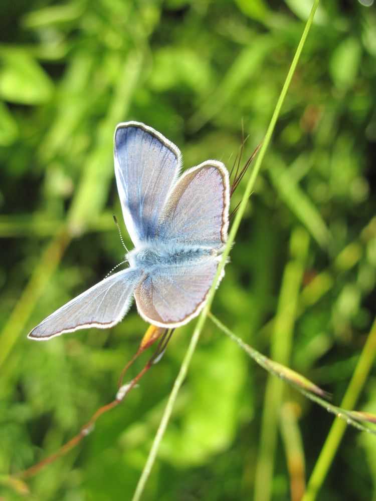 Photograph by Юлия