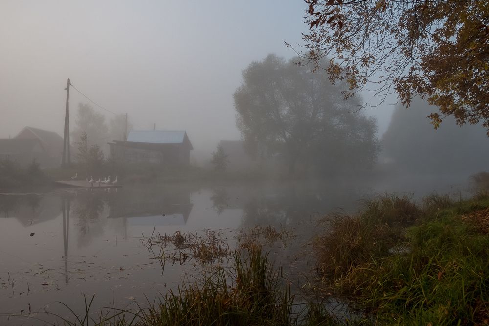 Photograph by Николаев Андрей