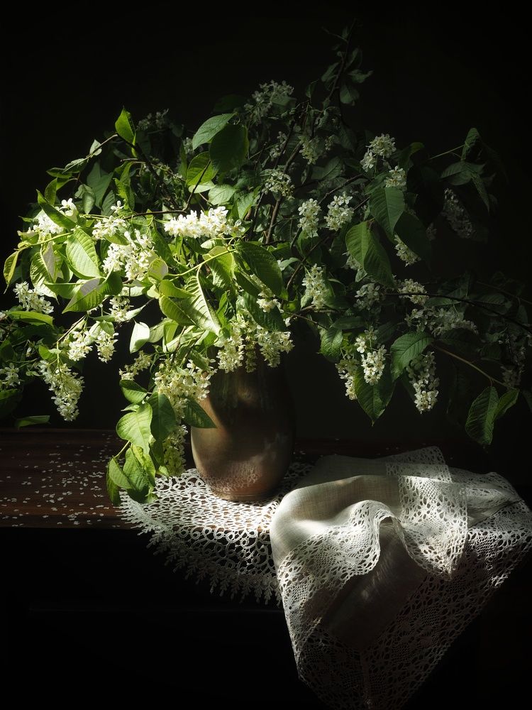 Photograph by EKATERINA