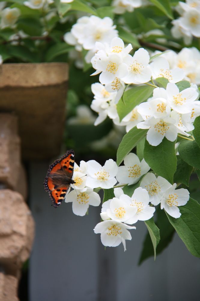 Photograph by Мария Королькова