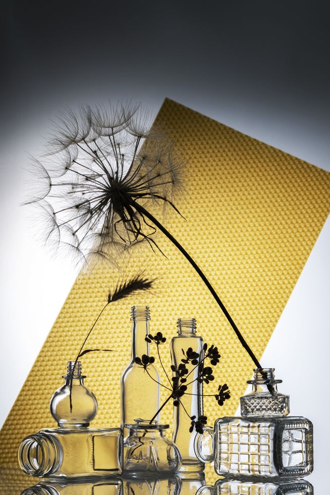 Фотография автора Anna Ilieva-Alikaj