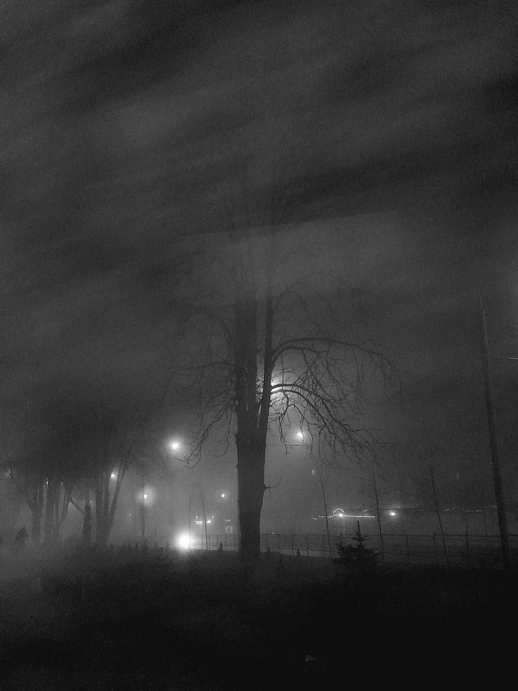 Photograph by Дмитрий Шумский