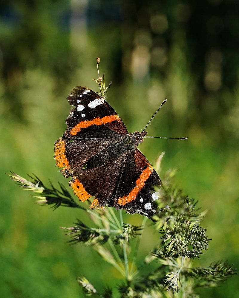 Photograph by Anna Sindikayeva