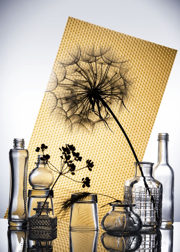 Фотография автора Anna Ilieva-Alikaj