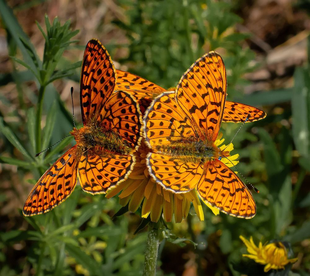Photograph by Василий Губский