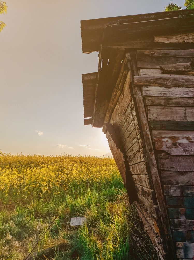 Фотография автора Kristina Nesteruk