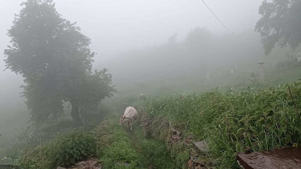 Фотография автора Курбан Курбаналиев